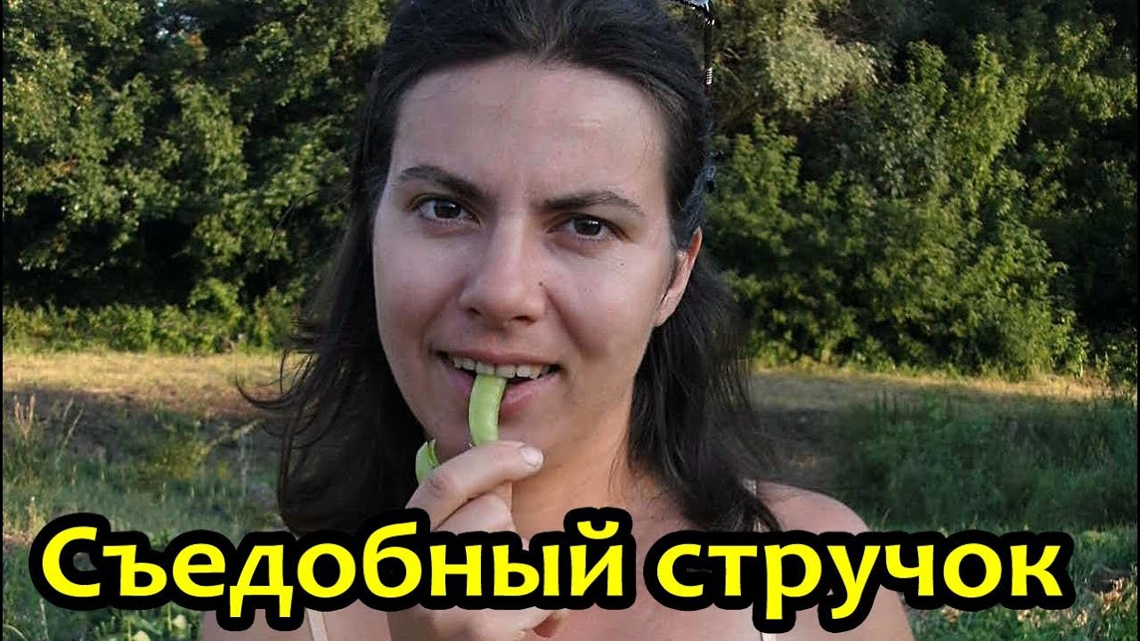 Новинка!!! Спаржевый горох - три урожая за сезон