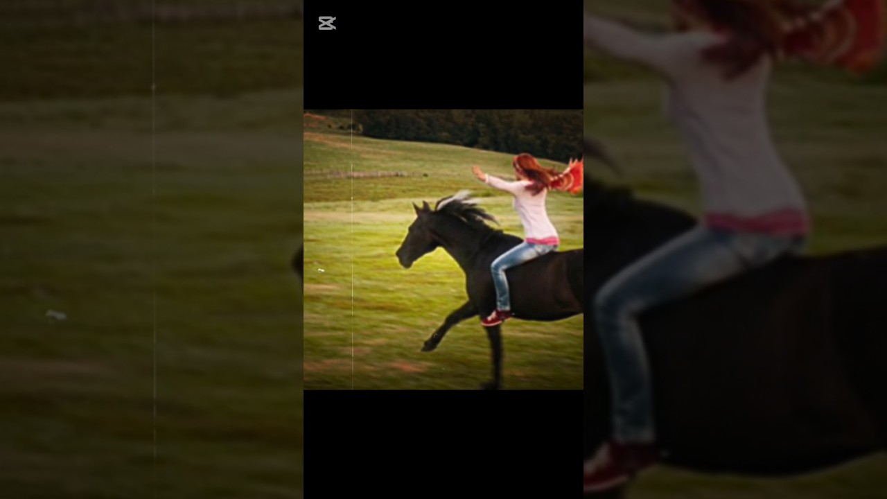 Mika & Ostwind 💕🐎 #mika #ostwind #windstorm #sz&eacute;lvihar #edit #movie #capcut