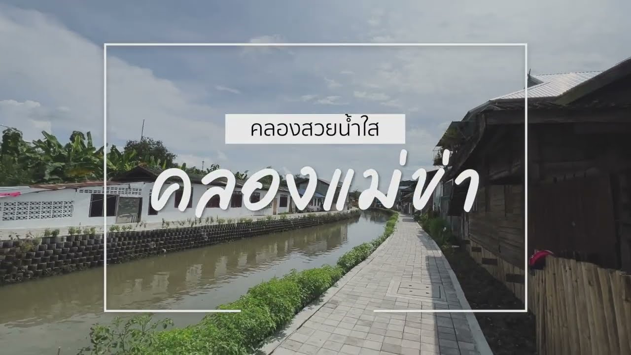 คลองสวยน้ำใส คลองแม่ข่า โดยเทศบาลนครเชียงใหม่