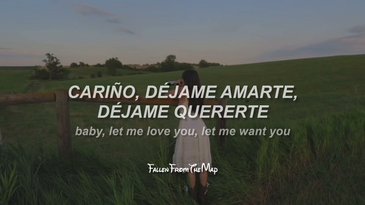 Taylor Swift - Invisible (Español + English)