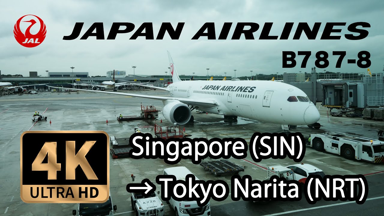 【4K Flight】 Singapore (SIN) to Tokyo Narita (NRT) Japan Airlines B787-8 日本航空 JALシンガポール→東京成田