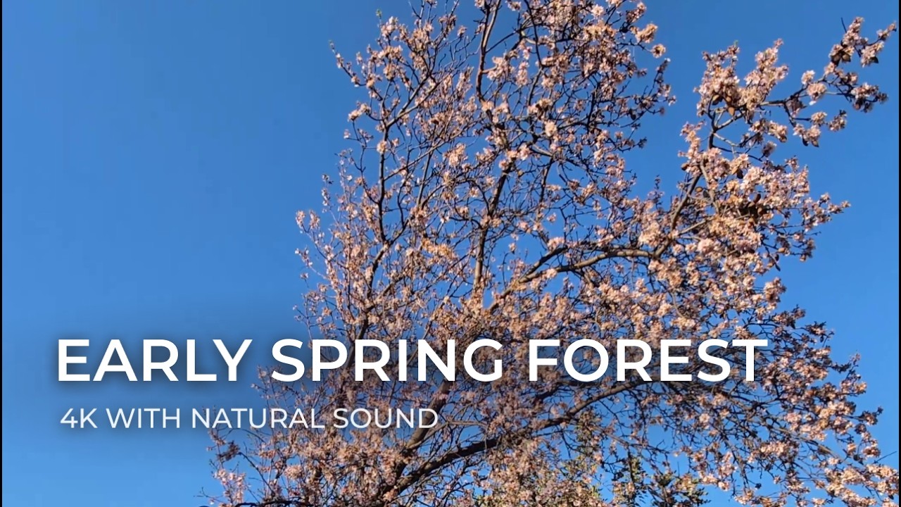 Early Spring Walk in the Troodos Mountains – Esso Galata, Cyprus | Nature Comforts