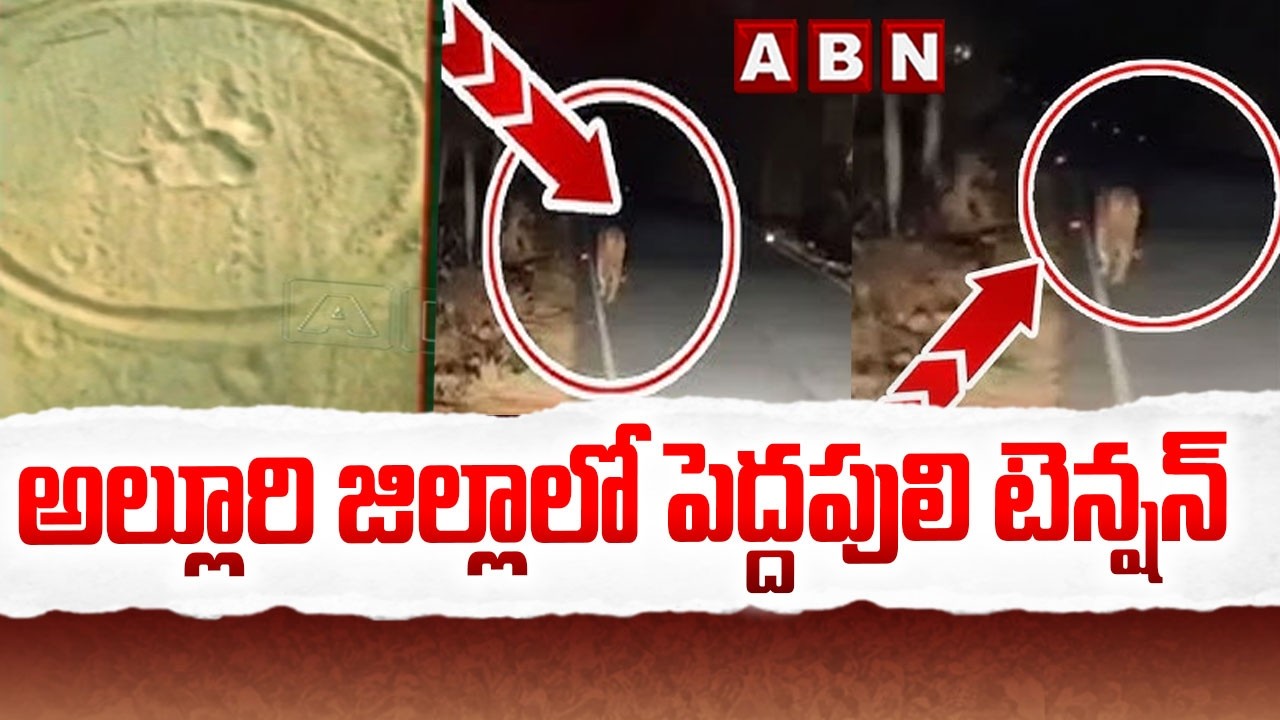 అల్లూరి జిల్లాలో పెద్దపులి టెన్షన్ | Tiger in Alluri District | ABN Telugu