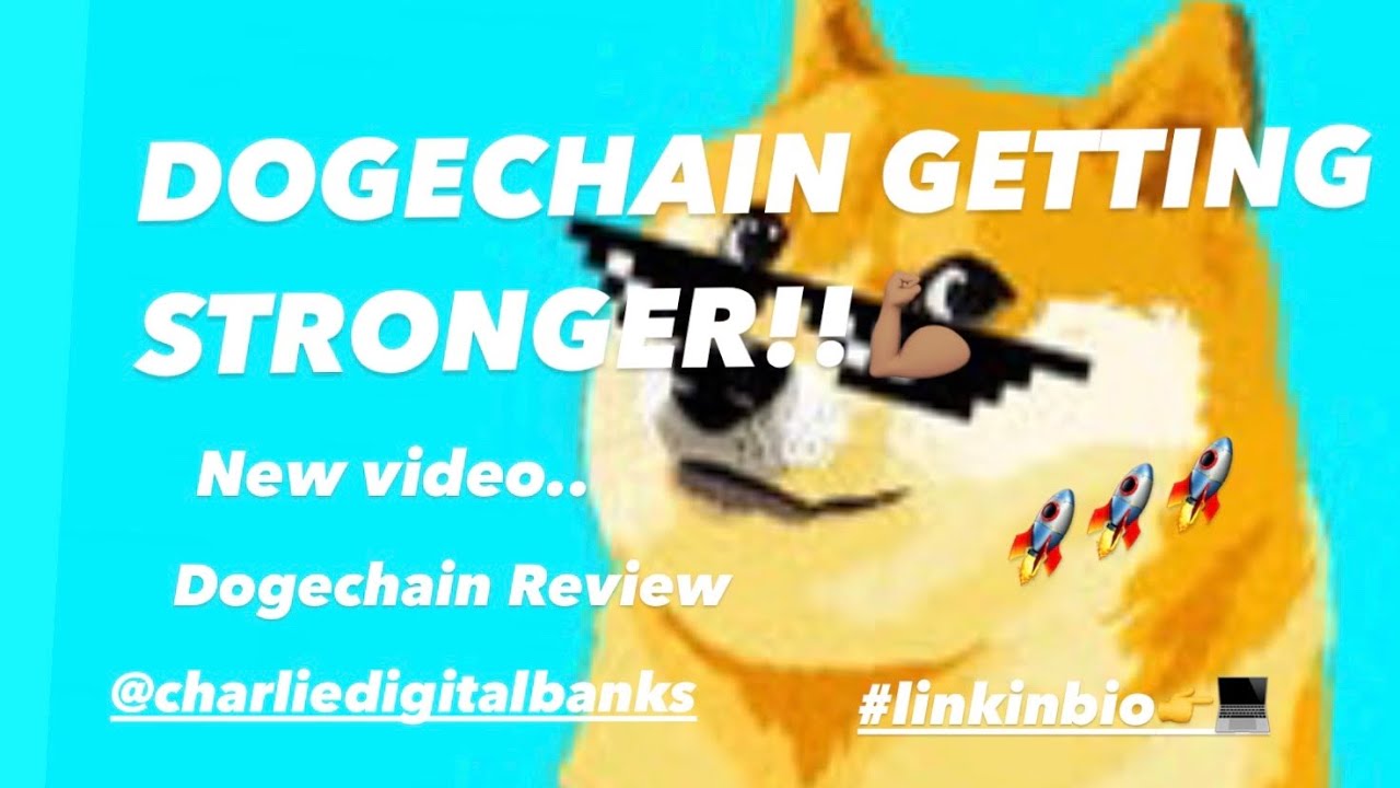 DOGECHAIN NEW UPDATES!! 🤯🤯🤯 @charliedigitalbanks #dogechain #dogecoin @thedruggedhuskies641