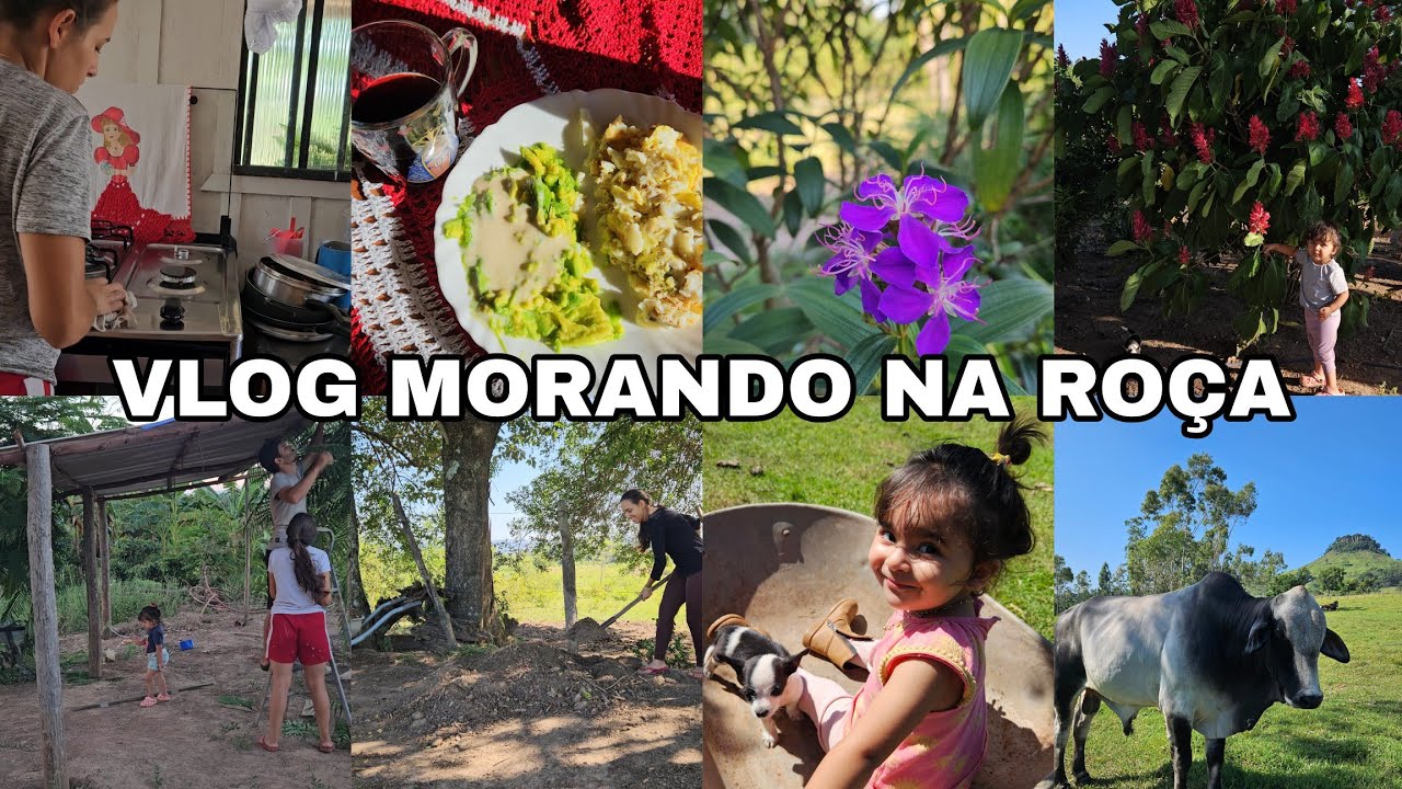 COLOCAMOS TELHA NO GALINHEIRO/DIA DE LIDAR NA HORTA E FIZ UMA GERAL NA CASA