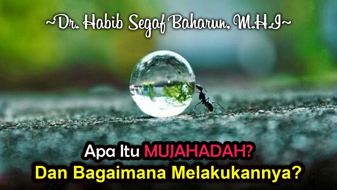 Apa Itu Mujahadah? dan Bagaimana Cara Melakukannya? || Dr. Habib Segaf Baharun, M.H.I