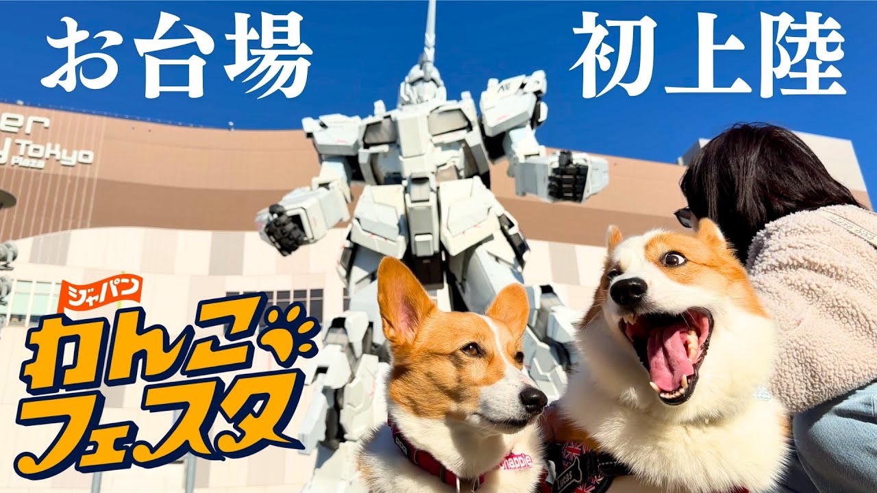 【初めてのお台場！】国内最大規模の屋外ドッグイベント『ジャパンわんこフェスタ』に行ってきました！