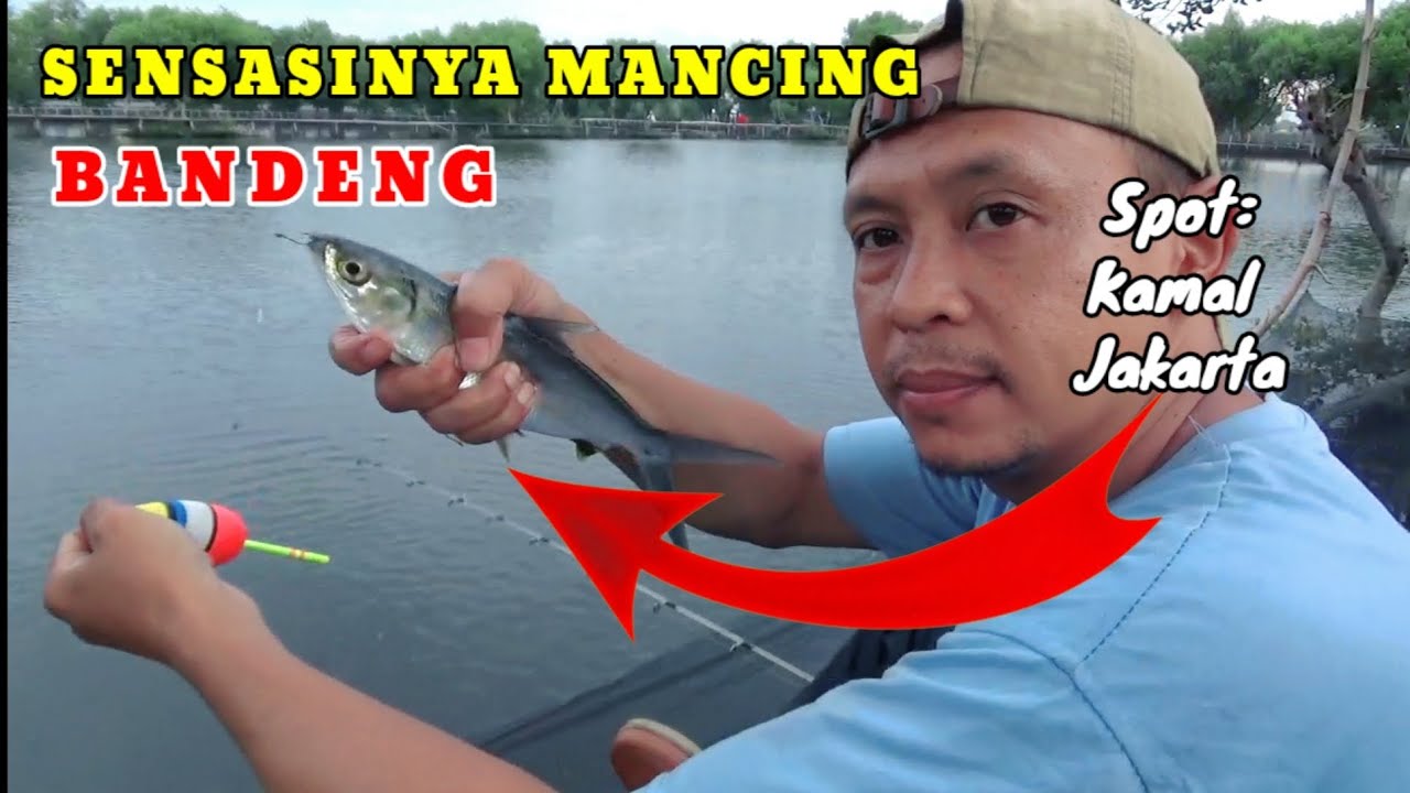 Sensasi Mancing Bandeng di Jakarta