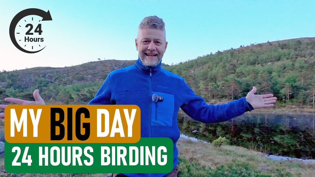 Can I Hit 80 Species in one Big Day?