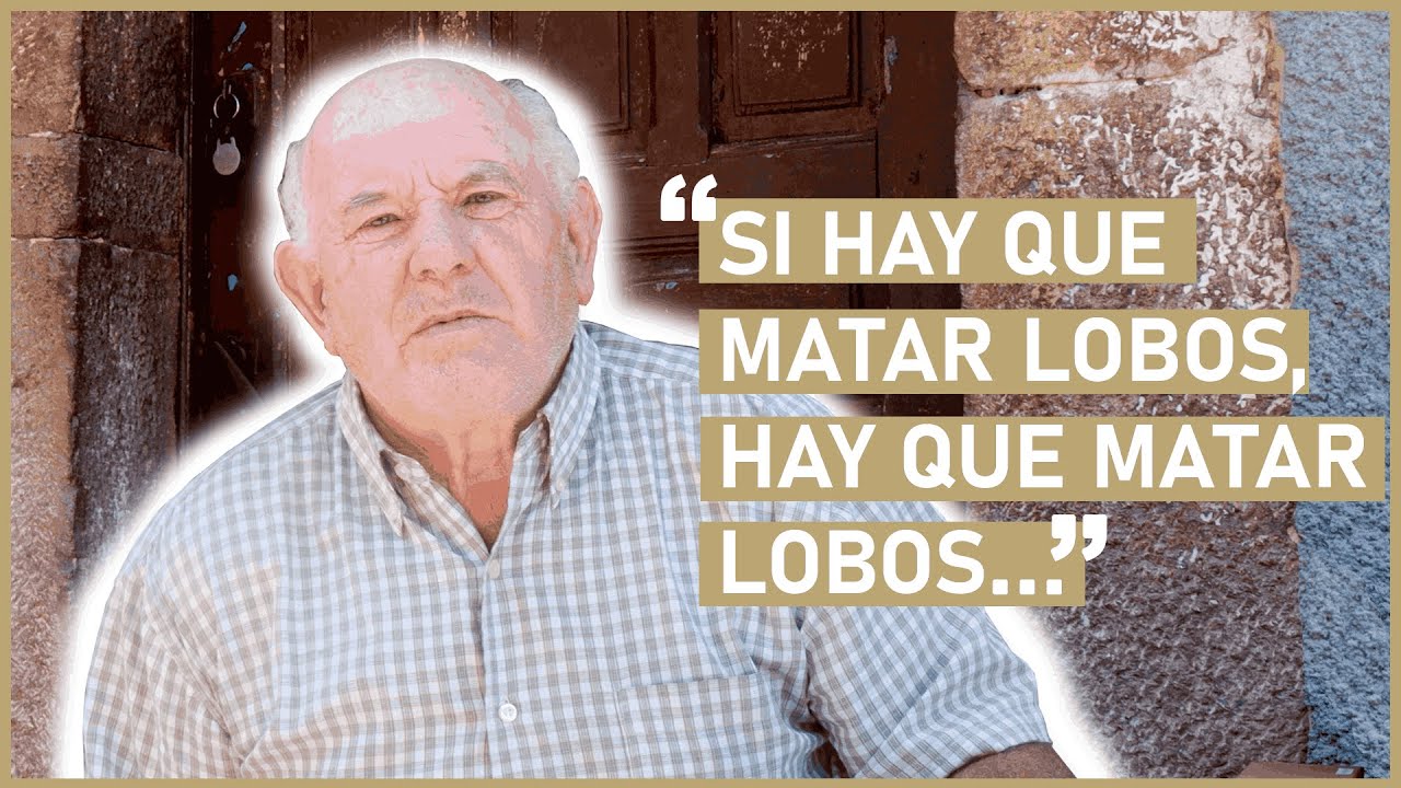GANADERO SOMEDANO OPINA DEL LOBO | ENTREVISTA A JUAN