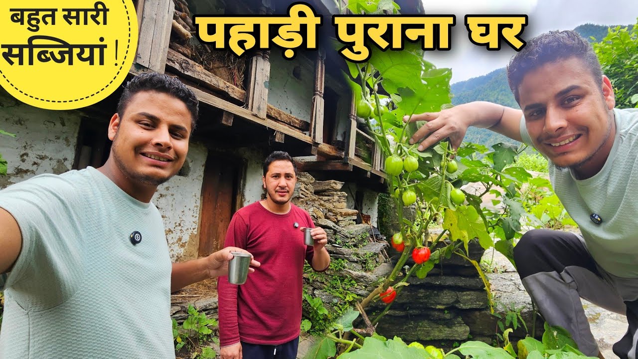 पहाड़ों में पुराने घर के आसपास की स्वादिष्ट सब्जियां | Mountain village lifestyle video | RTK Vlogs