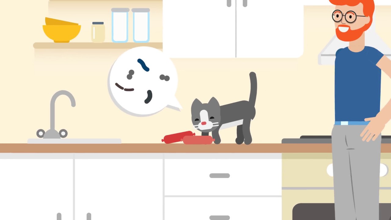 Schau' dass die K&uuml;che sauber bleibt