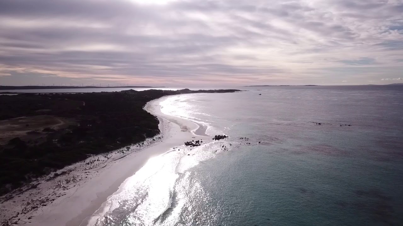 Musselroe tasmania