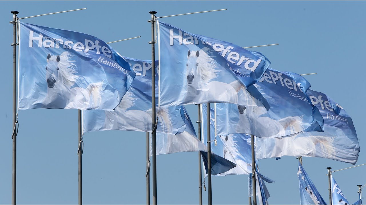 HansePferd Hamburg 2014 - Messeeindrücke