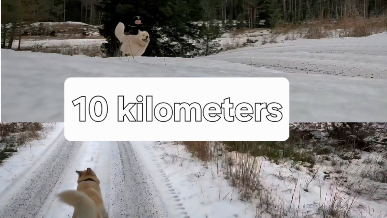 @Juhamonitoimimies  10Km juoksulenkki
