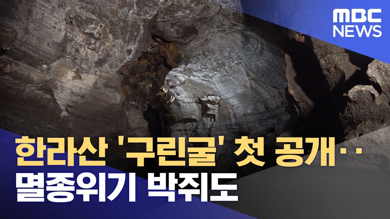 한라산 '구린굴' 첫 공개‥멸종위기 박쥐도 (2025.11.04/뉴스투데이/MBC)