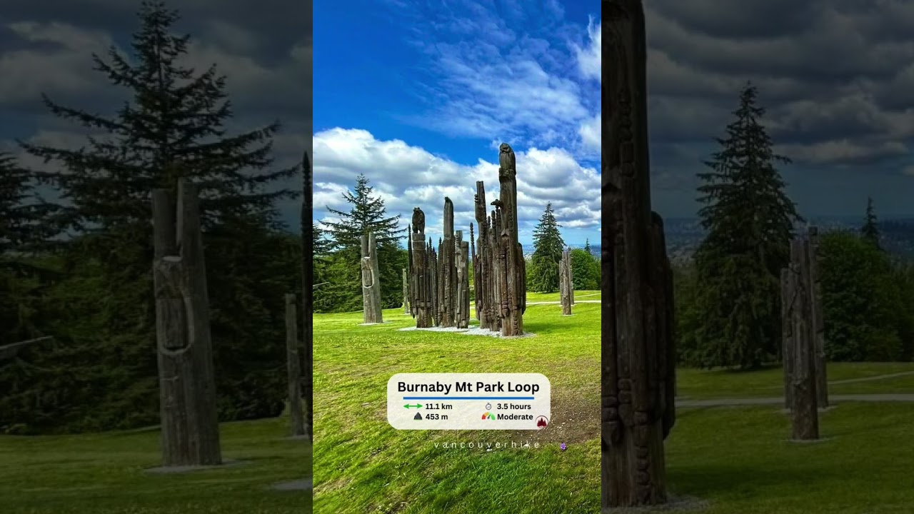 Top 5 hikes of Burnaby Mountain. #burnabybc #burnabymt #burnabymtpark #vancouverhike