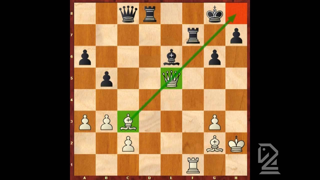 Chess Lesson For Beginners: Intermediate attack (Zwischenzug)
