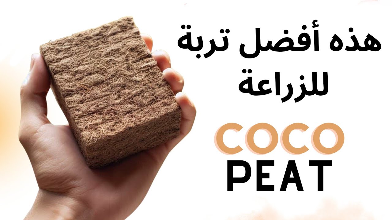 أفضل من البتموس، تربة الكوكوبيت وكيفية إستخدامها وفوائدها cocopeat , ألياف جوز الهند