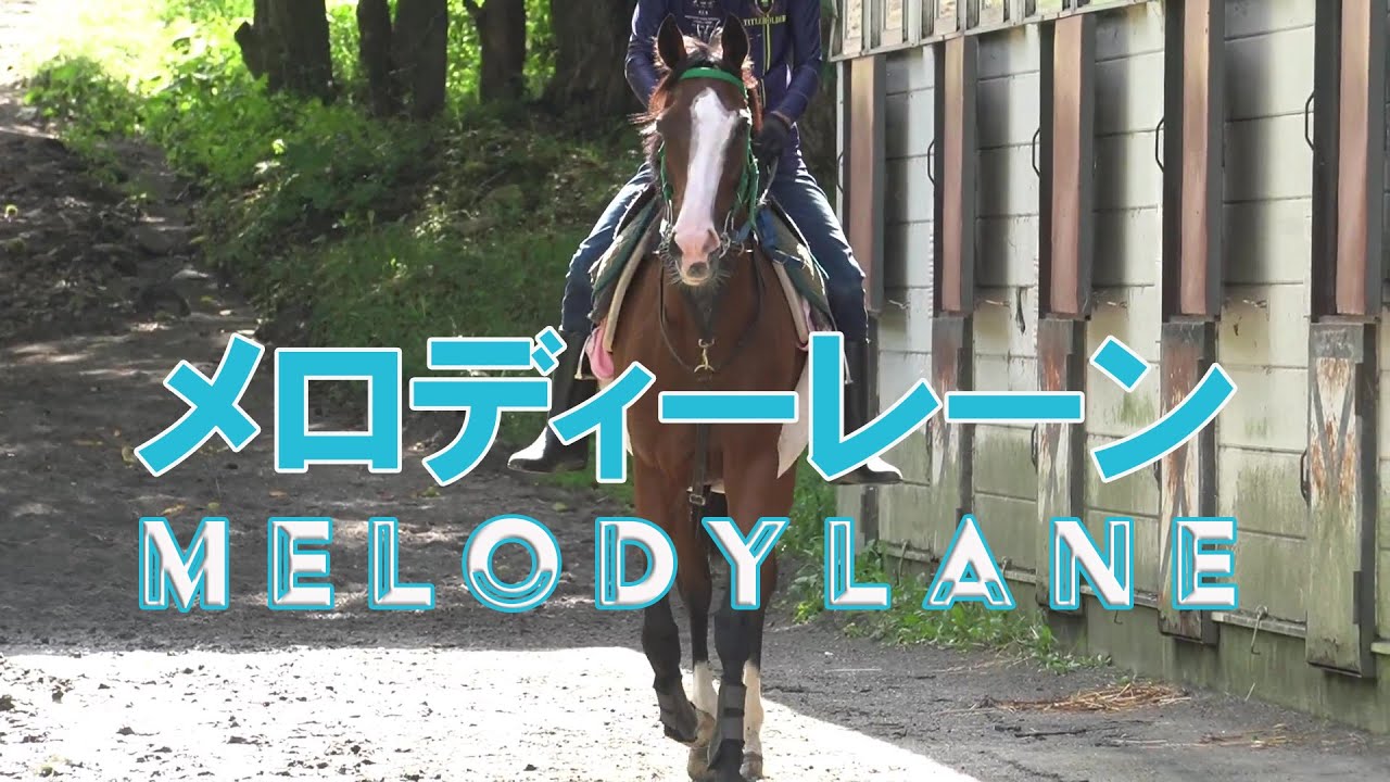 メロディーレーン Melody Lane