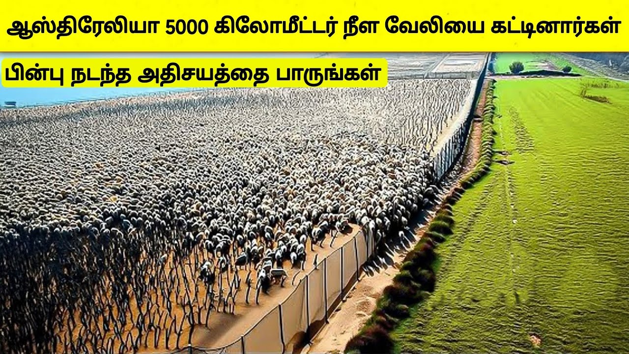 5000 கிமீ நீள வேலி!! உலகை மிரள வைத்த ஆஸ்திரேலியா | Australia fence | Tamil Wonders 