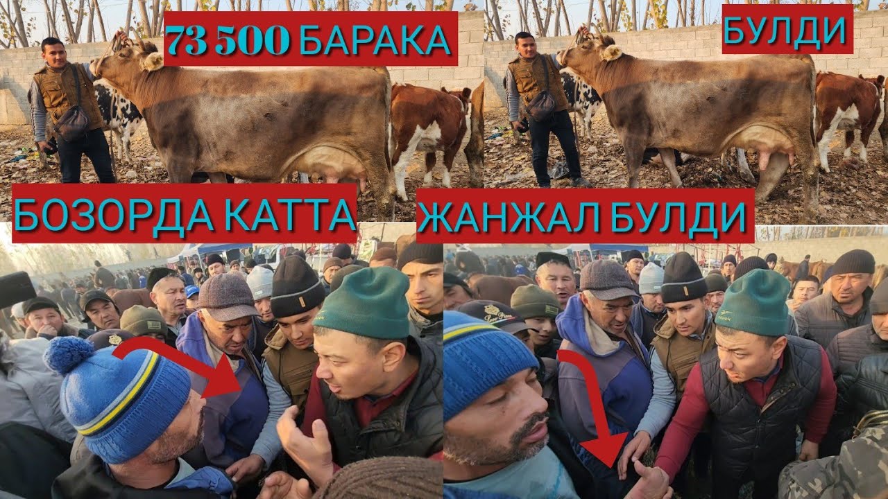 МОЛ БОЗОРИДА КАТТА ЖАНЖАЛ БУЛДИ БУГУН АНДИЖОН ШАХРИХОН ЖУЧА МОЛ БОЗОРИ