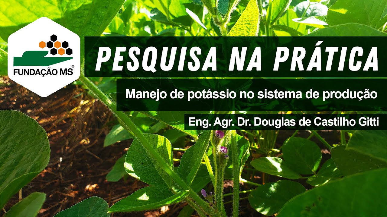 Pesquisa na prática: Manejo de Potássio no Sistema de Produção – Douglas Gitti