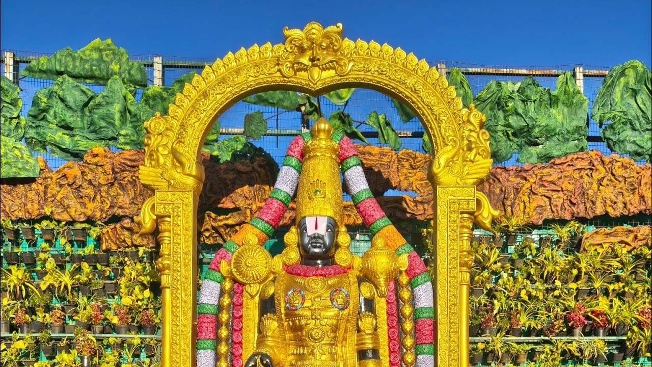 Tirumala Darshanam Experience 🙏 | Feeling Blessed