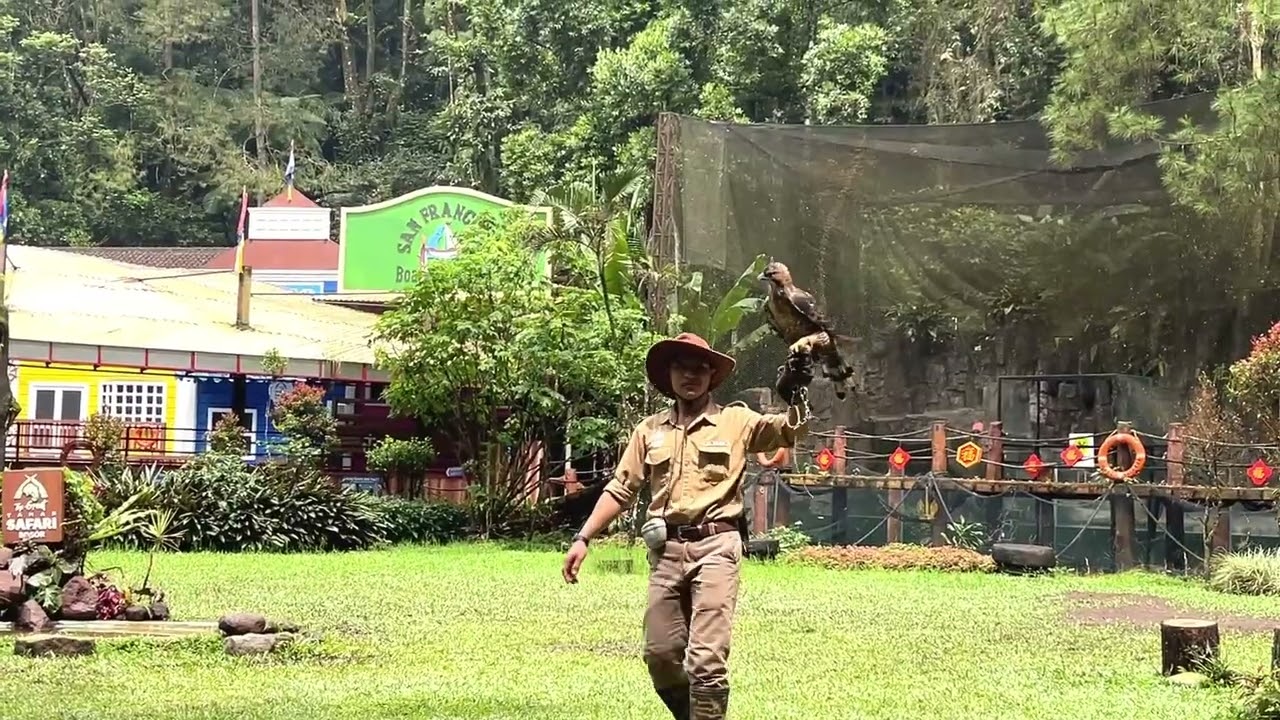 BIRD SHOW di TAMAN SAFARI INDONESIA #Part4