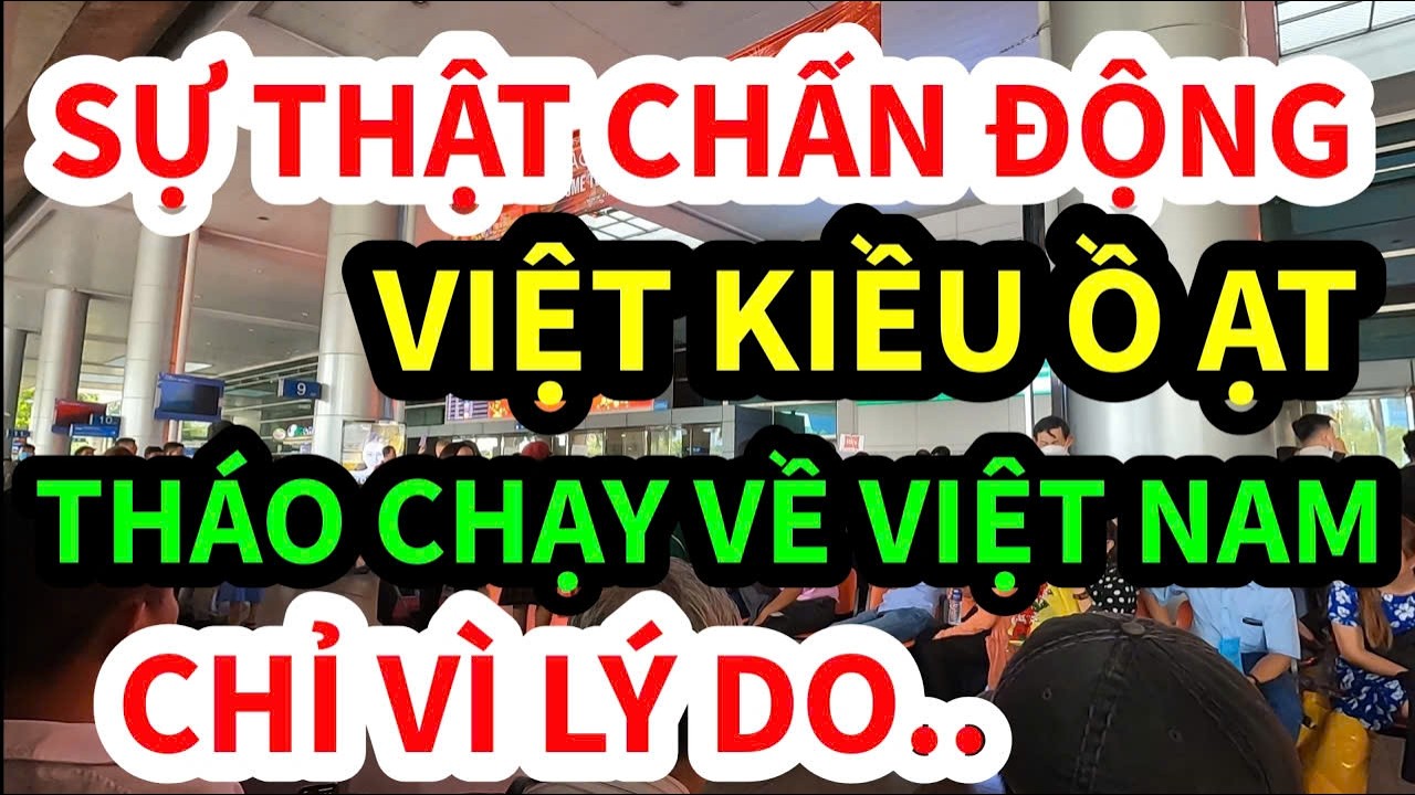 SỰ THẬT CHẤN ĐỘNG: TẠI SAO VIỆT KIỀU CALIFORNIA VÀ FLORIDA ĐANG Ồ ẠT RỜI MỸ VỀ QUÊ HẲN?