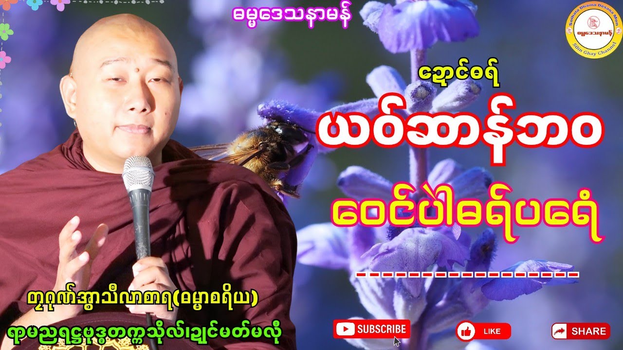 🌸ယဝ်ဆာန်ဘဝ ဝေင်ပဲါဓရ်ပရေံ🔷 #ဓရ်တၠဂုဏ်အ္စာမှေအ် #ဓရ်မန် #soinghay 