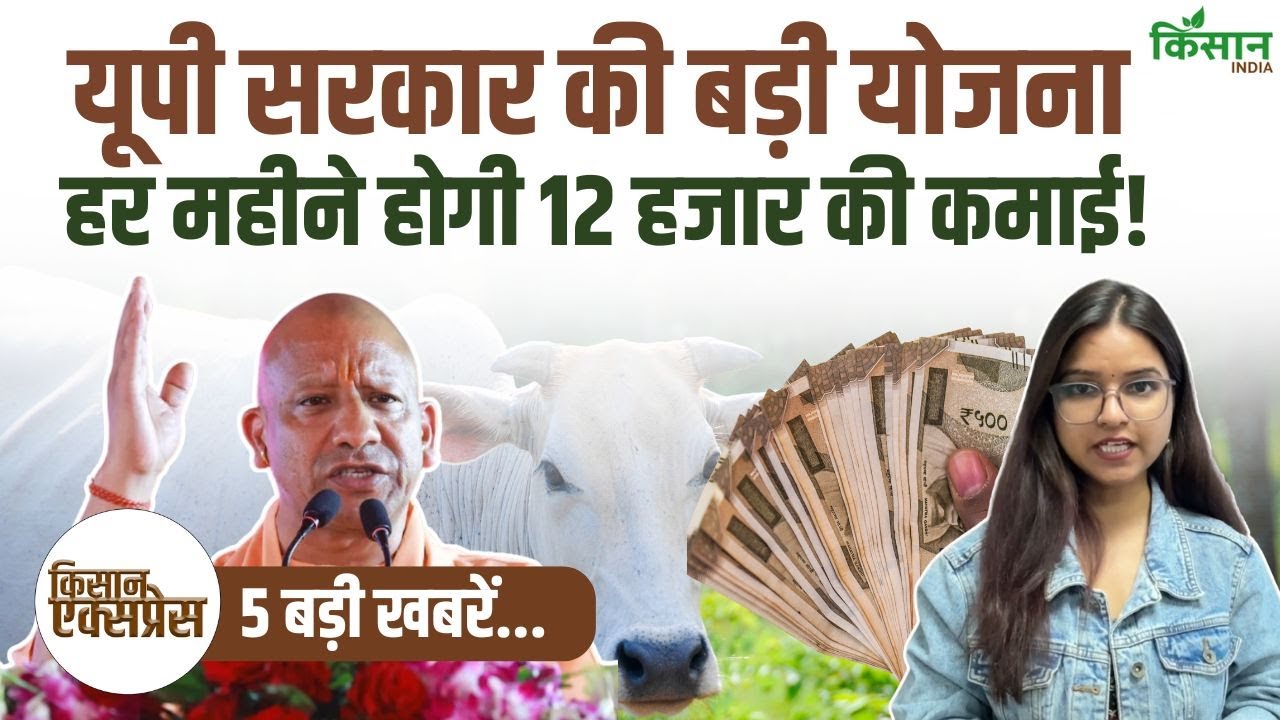 Kisan Express | छुट्टा पशुओं से किसानों को मिलेगी बड़ी राहत, हर महीने 12 हजार कमा सकेंगे किसान!