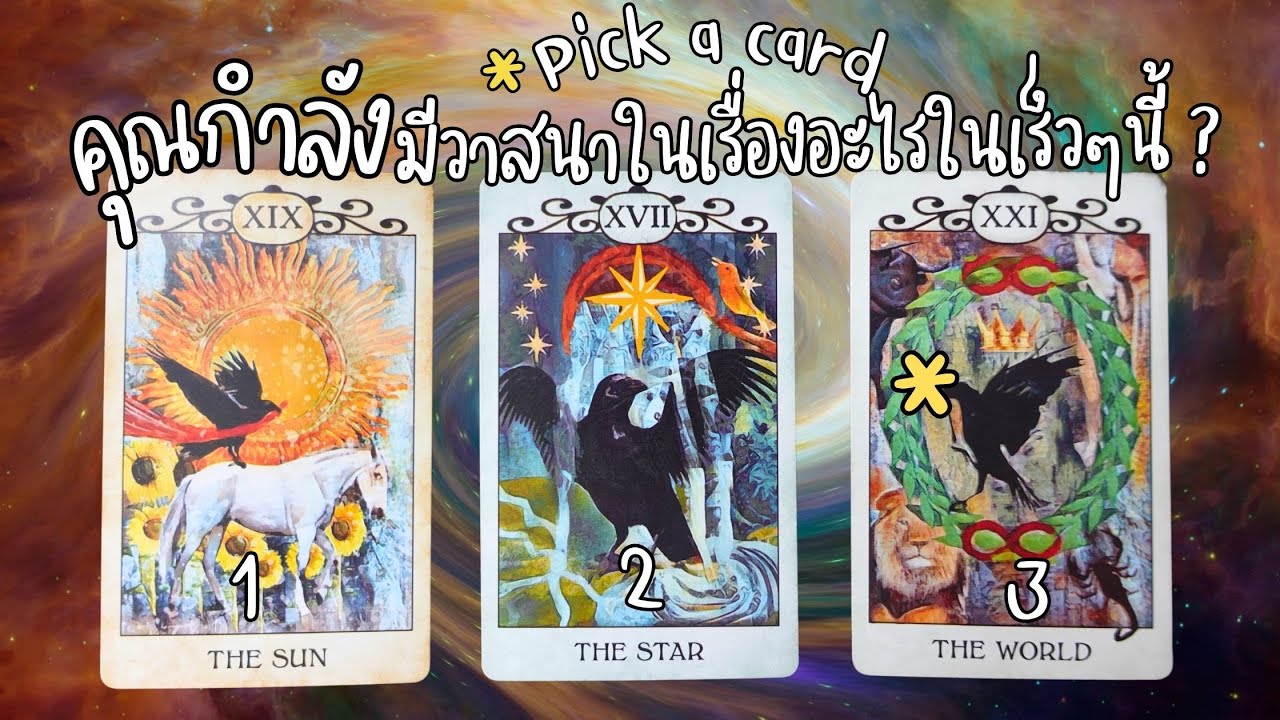 Pick a card :  คุณกำลังมีวาสนาในเรื่องอะไรในเร็วๆนี้ ? 💰💍