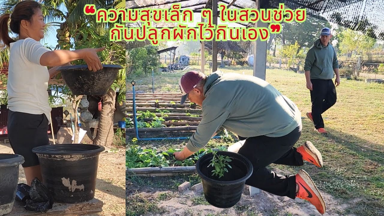 “วันสบาย ๆ ของป้ากับลุง ปลูกผักไว้กินเอง”เรียบง่าย สนุก และสงบมากเลยค่ะ”