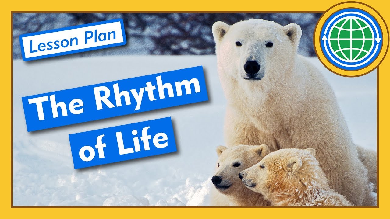 Biological Clocks and the Rhythm of Life - Lesson Plan