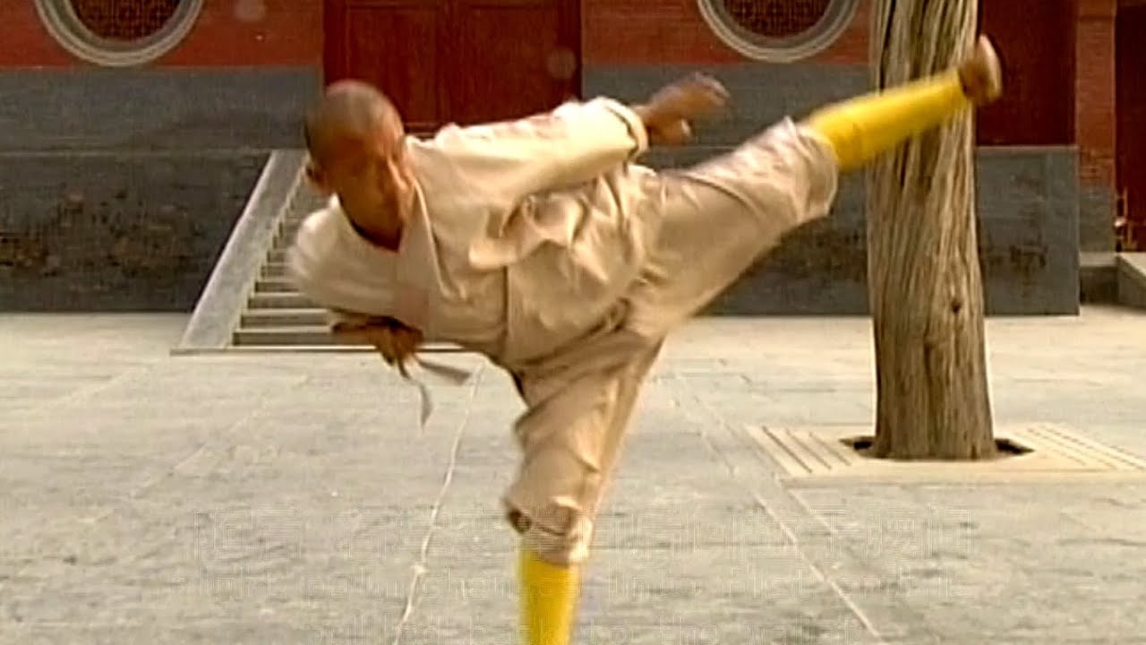SHAOLIN KUNG FU: small Power tactics (xiao pao quan)