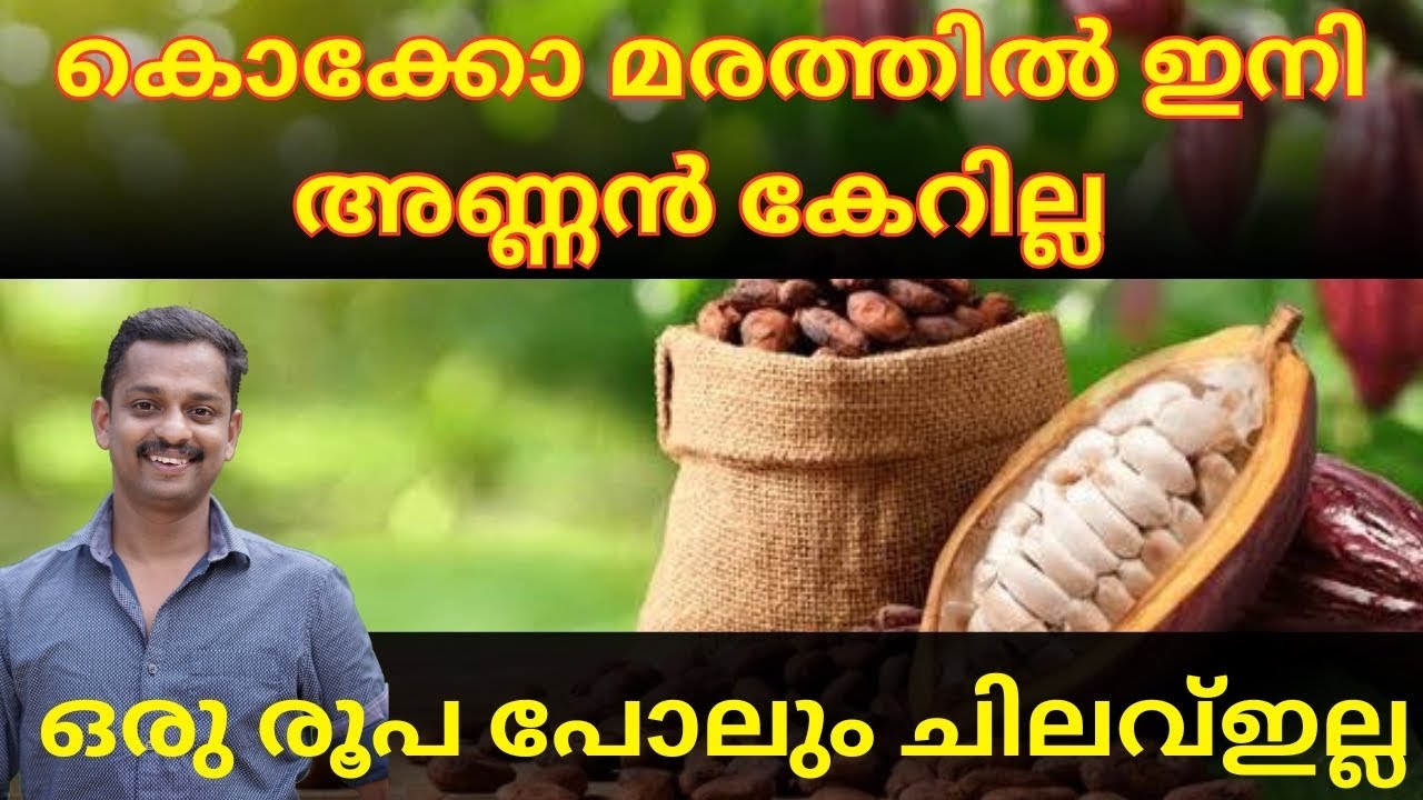 അണ്ണാൻ ആക്രമണം തടയം