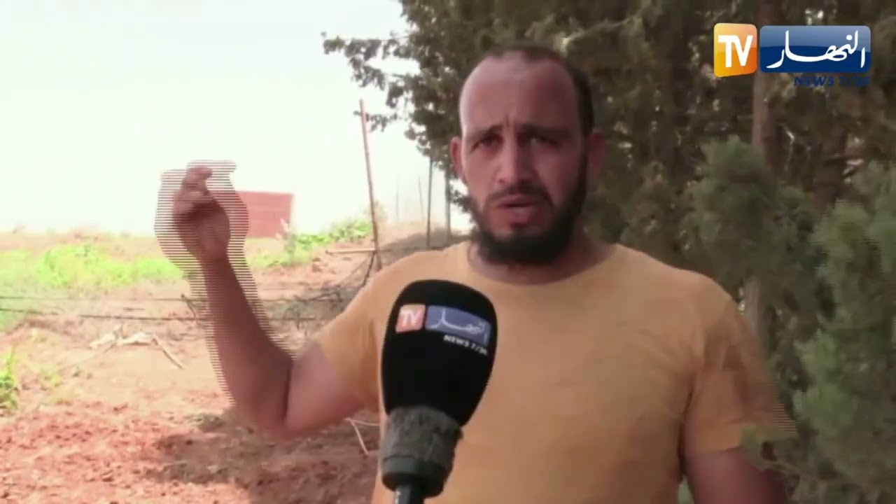 عين الدفلى:  ضعف التيار الكهربائي.. معاناة أتعبت سكان وفلاحي منطقة القرنين بجندل