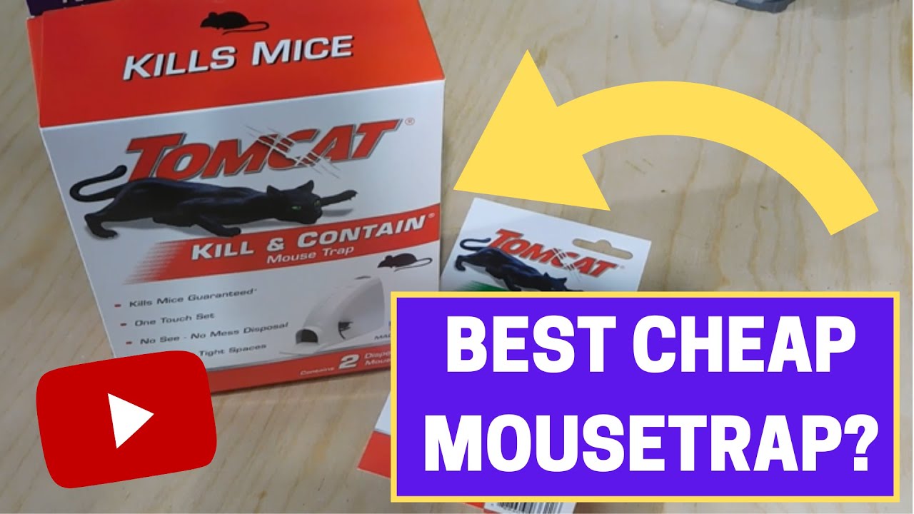 Best Cheap Mouse Trap (Tomcat Kill and Contain) - Review