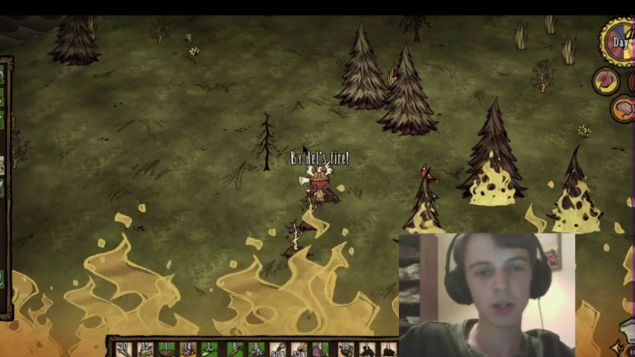 Don't starve Together With LnDPro
