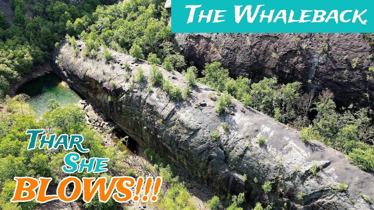 Hiking to The Whaleback 🐳, a Unique Geologic Feature in Pennsylvania!
