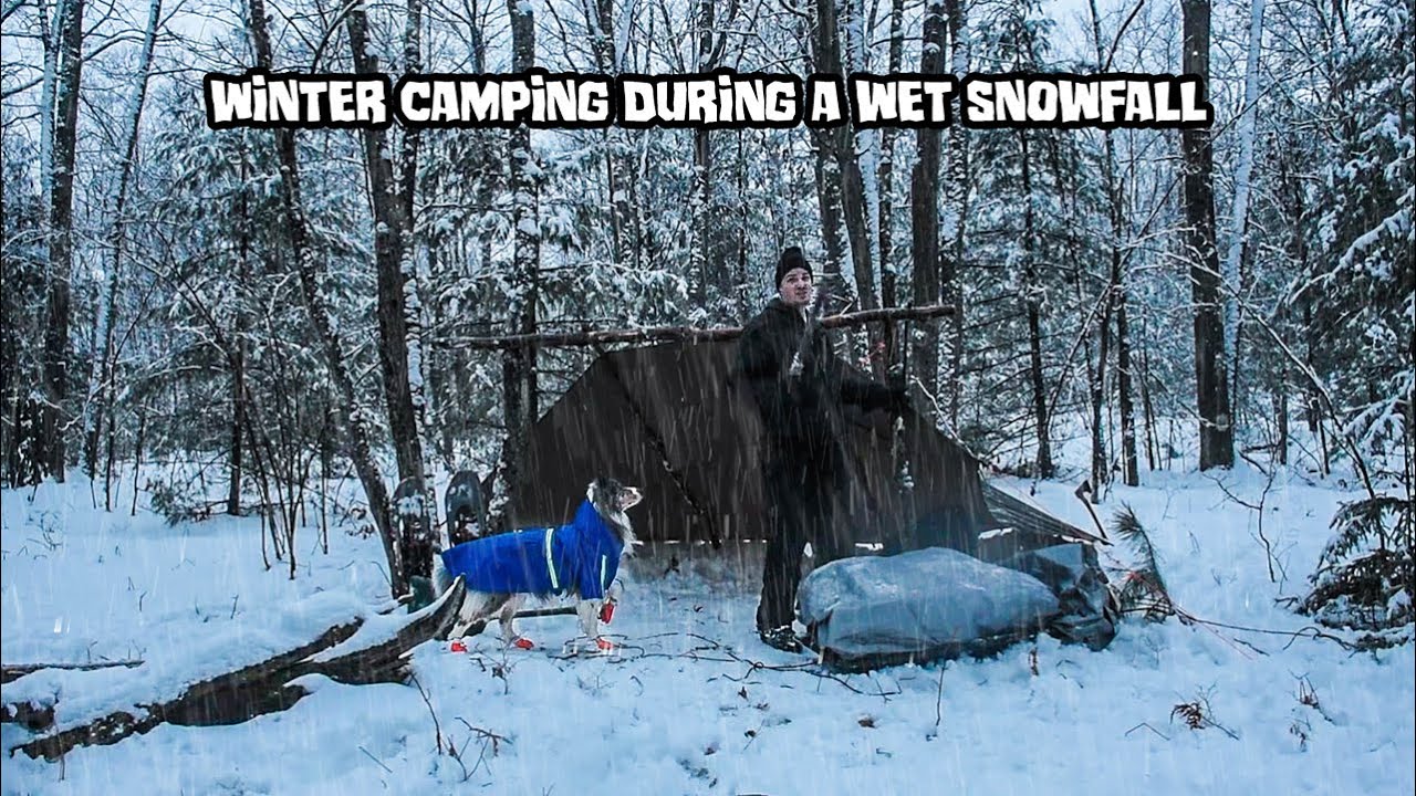 Winter Camping During A Wet Snowfall With My Dog