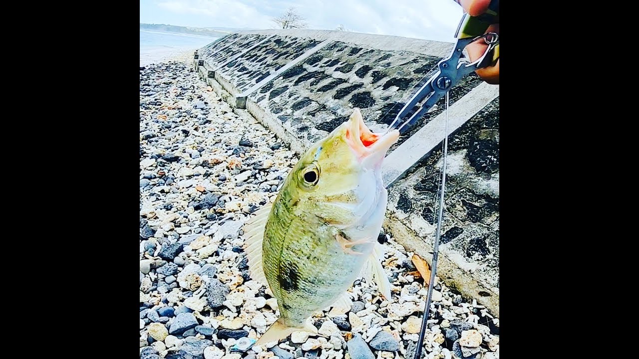 s18ep23- Fishing in Mauritius- Shore Spinning in Winter