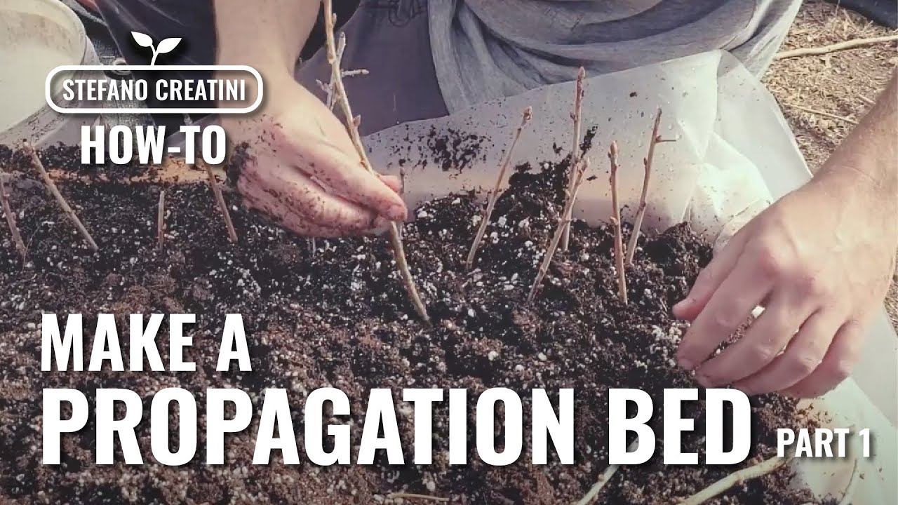 Propagation Bed, Part 1 | How we turn tree clippings into cash | Regenerative Agriculture