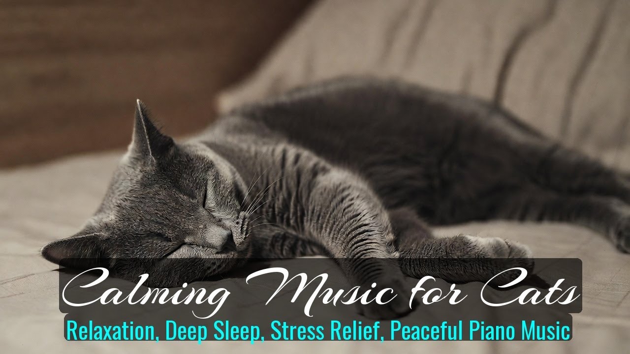Calming Music for Cats - Relaxation, Deep Sleep, Stress Relief, Peaceful Piano Music | Season 32
