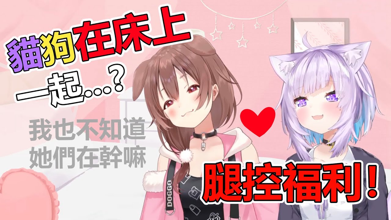 【戌神ころね / 猫又おかゆ】 貓狗貼貼！請戴好墨鏡再點進來！