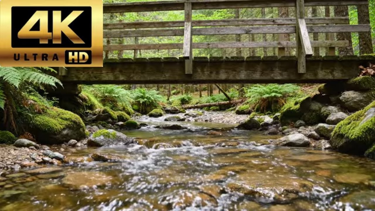 4K Peaceful Forest Stream Ambience  1 Hour🌲🌉 | Flowing Water Beneath a Woodland Bridge