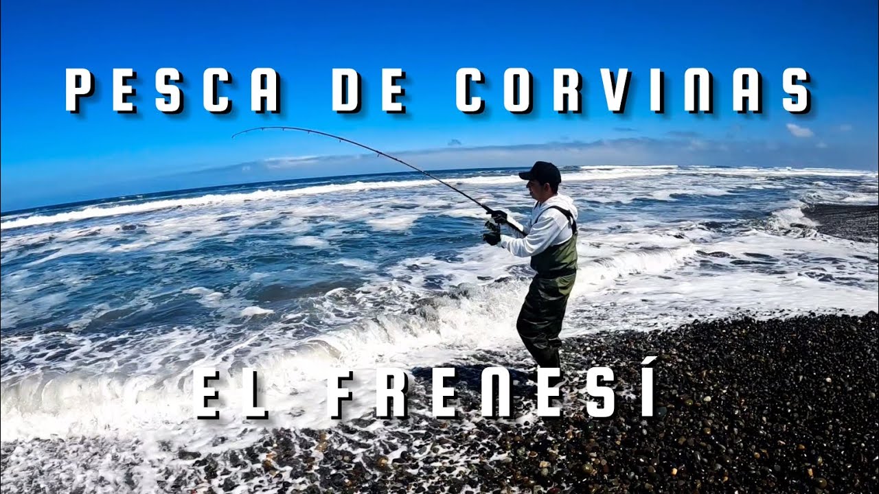PESCA DE CORVINAS - Primera pesca del 2024