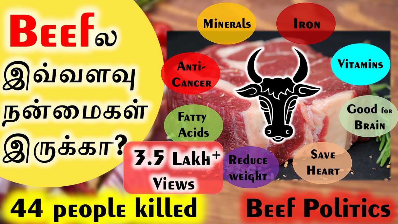 மாட்டிறைச்சியின் நன்மைகள் | Health Benefits of BEEF and BEEF Politics | SangathamizhanTV | Tamil