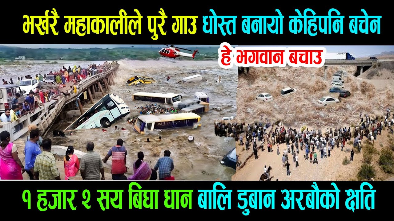 today badipairo महाकालीले पुरै गाउ धोस्त केहिपनि बचेन १ हजार २ सय बिघा धान बालि डुबान अरबौको क्षति